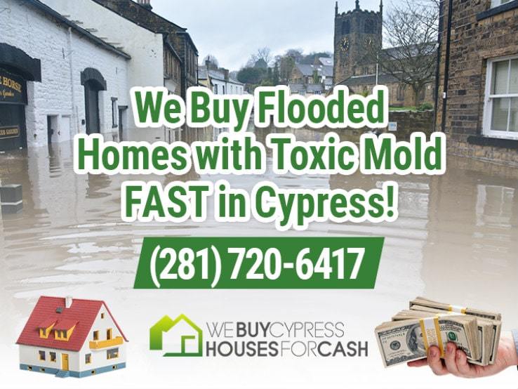 cypress water damage and mold
